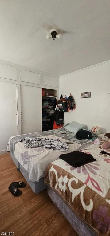 Picture 5
