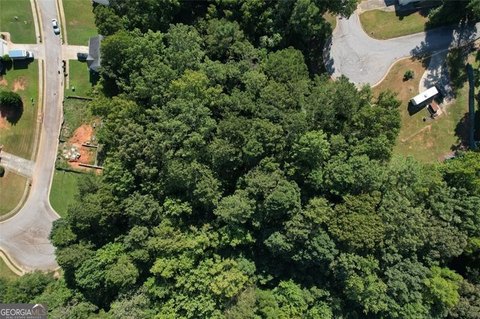 Wooded Lots in Covington, GA