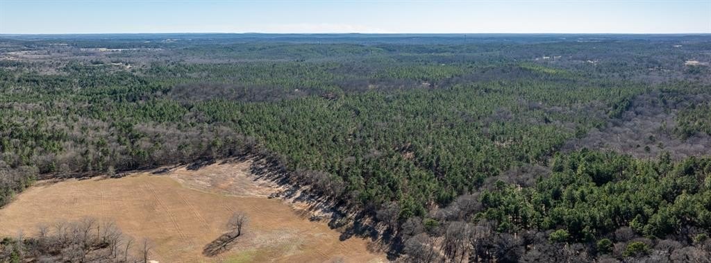 699 Acres Timberland Near Tyler