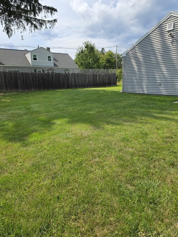 Picture 8