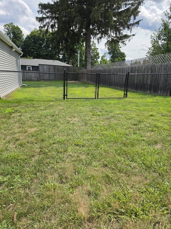Picture 9