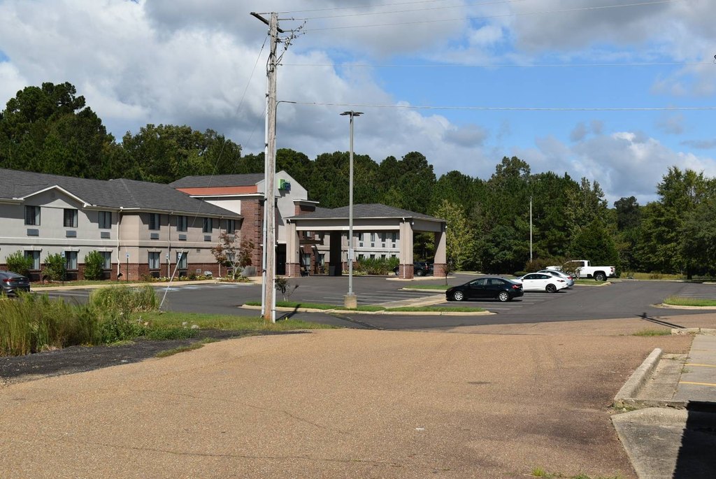 Picture 8