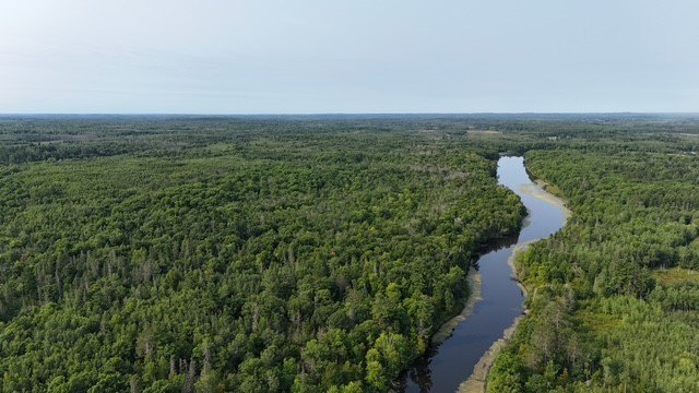 Picture 20