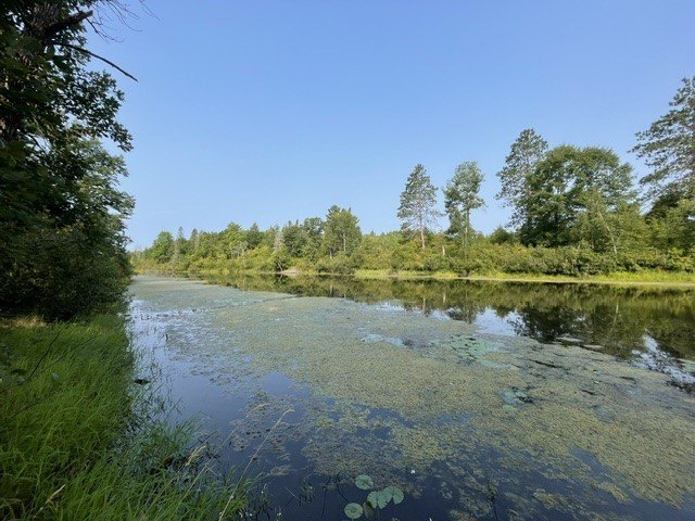 Picture 8