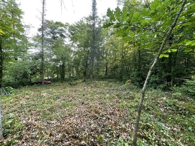 Picture 3