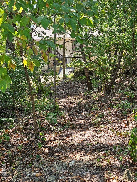 Picture 11