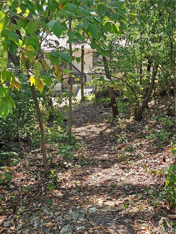 Picture 11