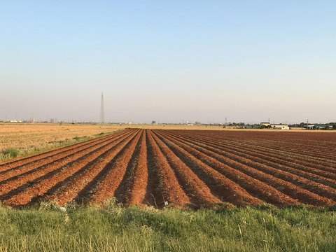 Lubbock Land Near Expo Arena