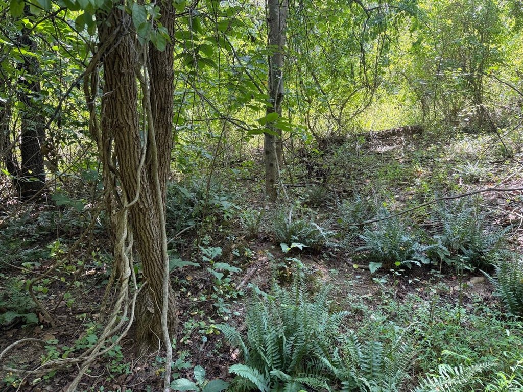 Picture 24