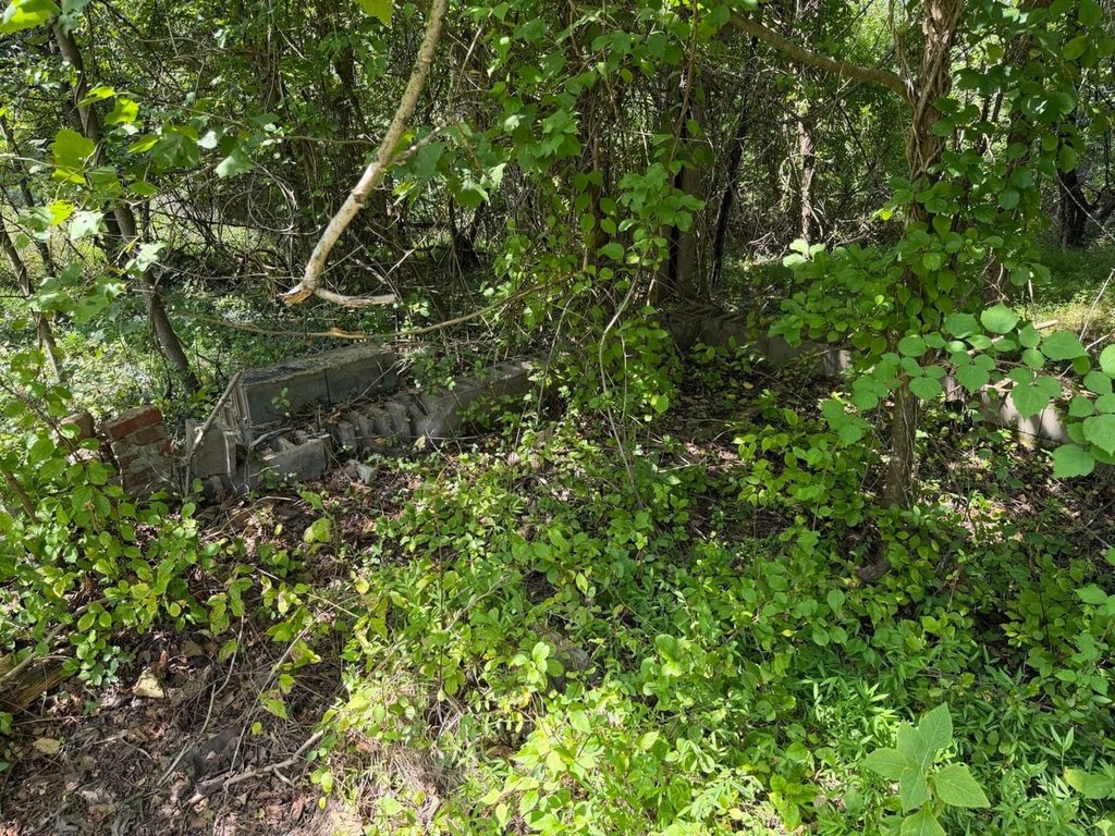 Picture 35