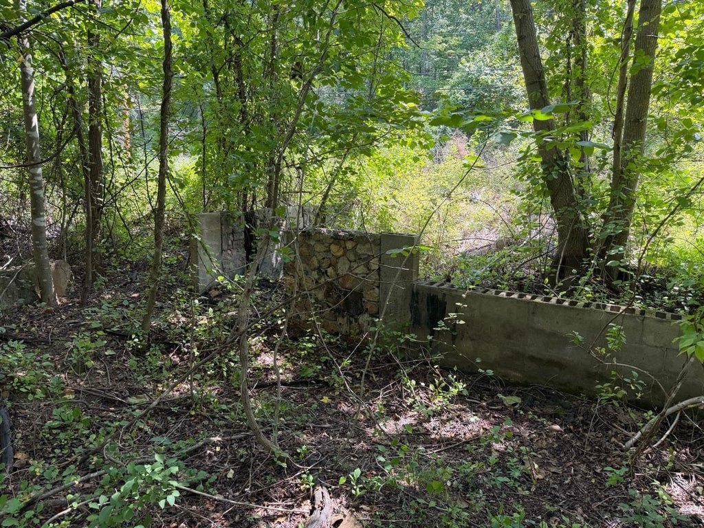 Picture 28