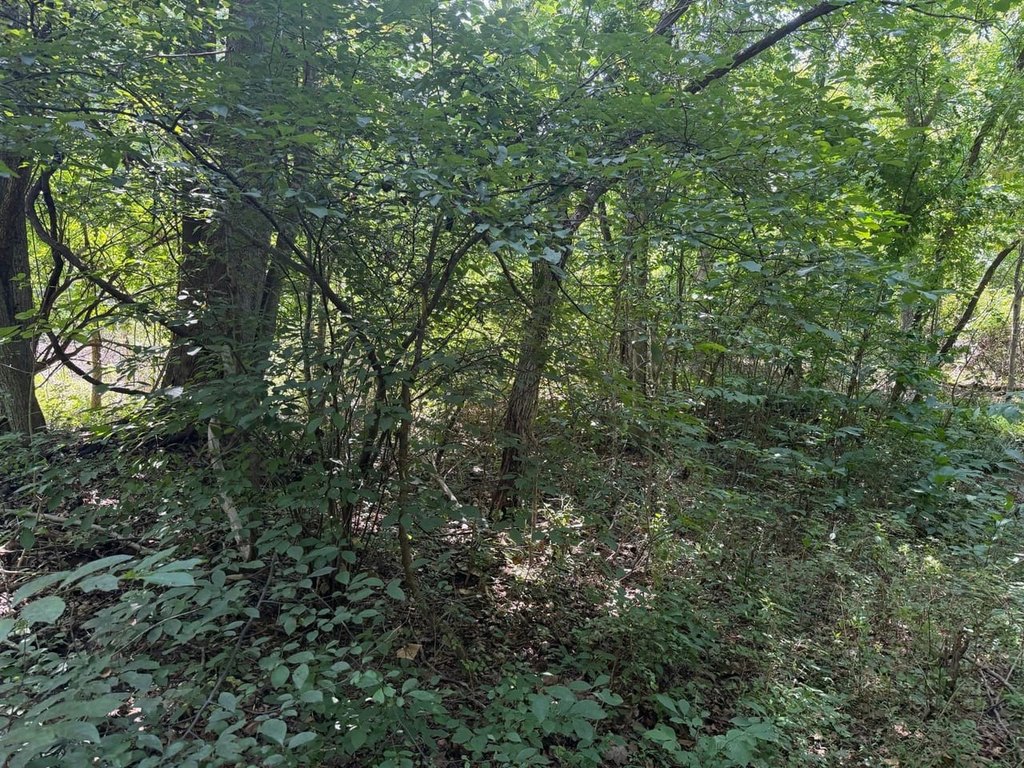 Picture 15