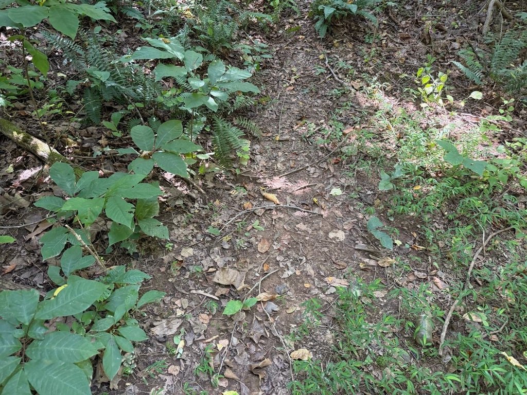 Picture 18