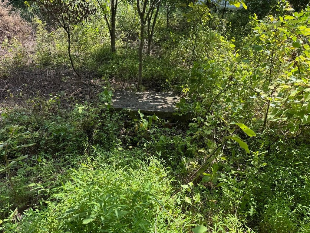 Picture 38