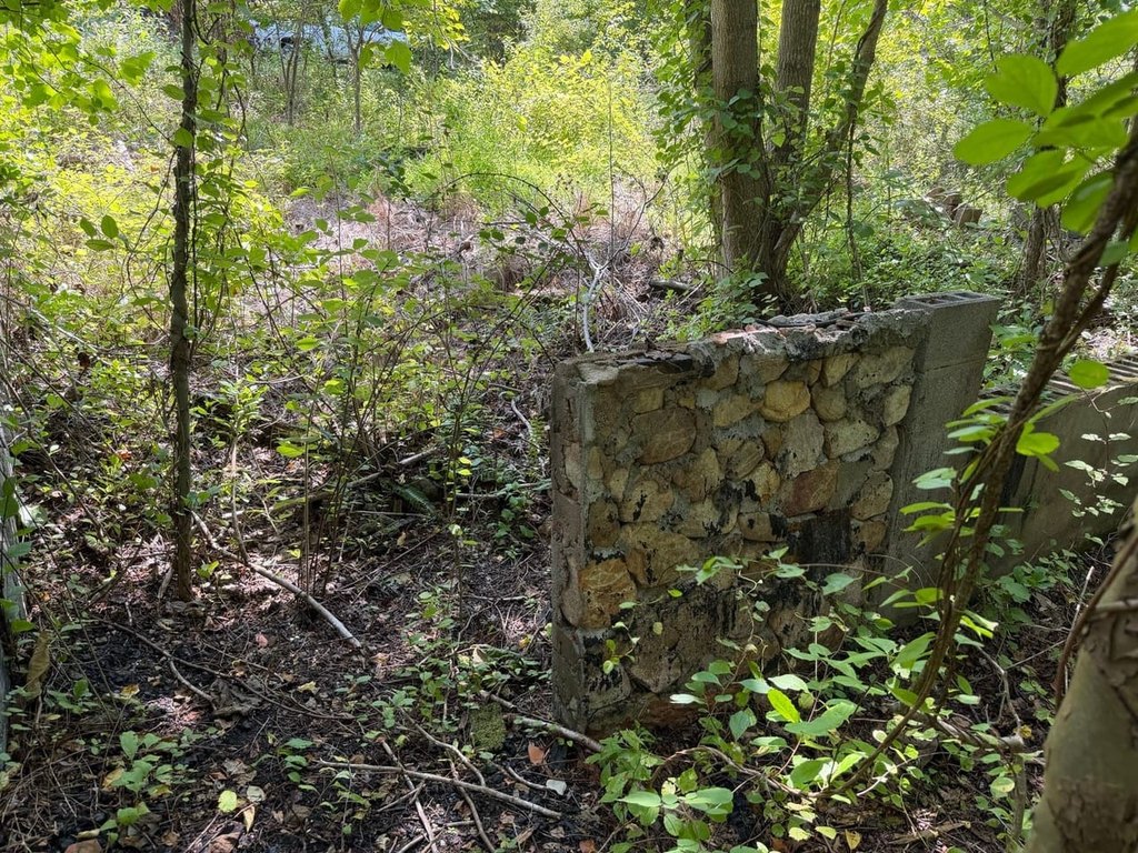 Picture 30