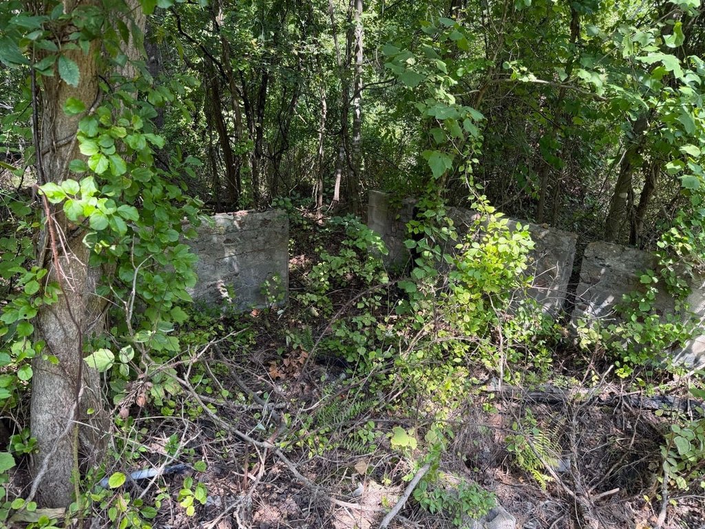 Picture 36