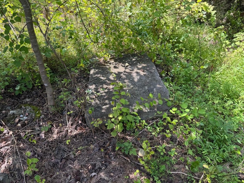 Picture 41