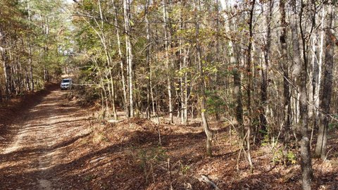 Deer Hunting Land with Mixed Terrain