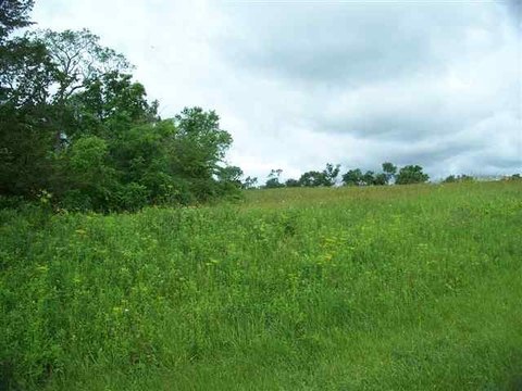 Residential Lot in Quiet Cul-de-Sac
