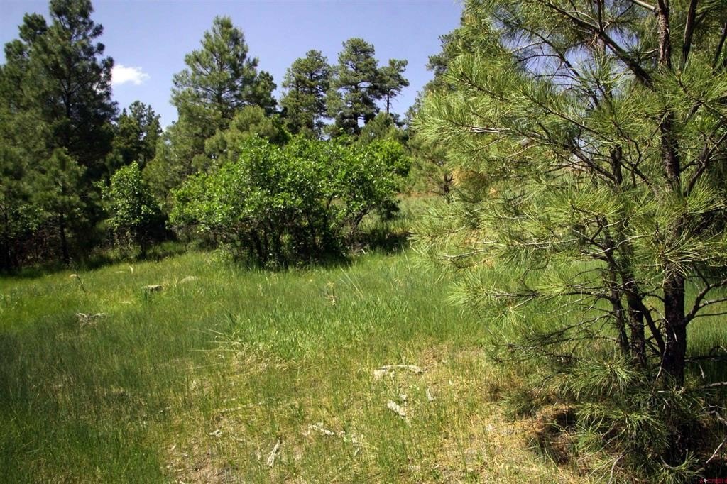 Picture 30