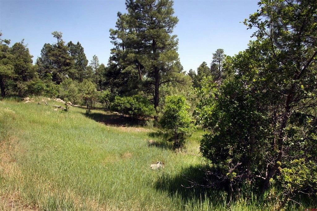 Picture 28