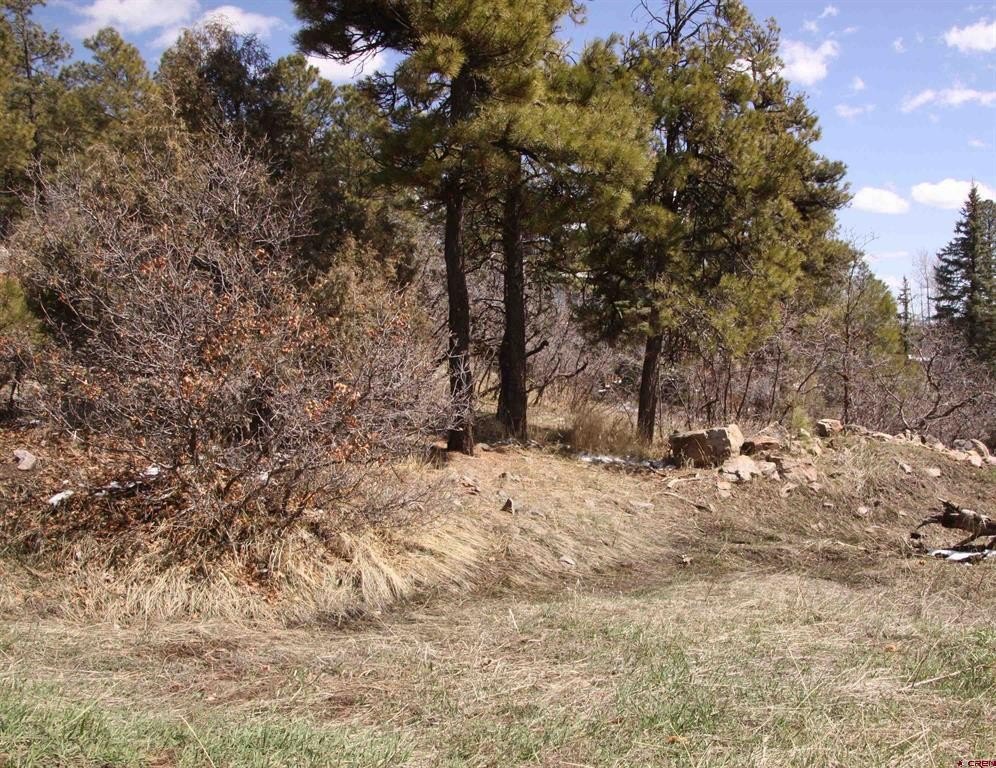 Picture 10