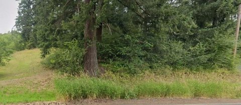 Chehalis Buildable Land Lot