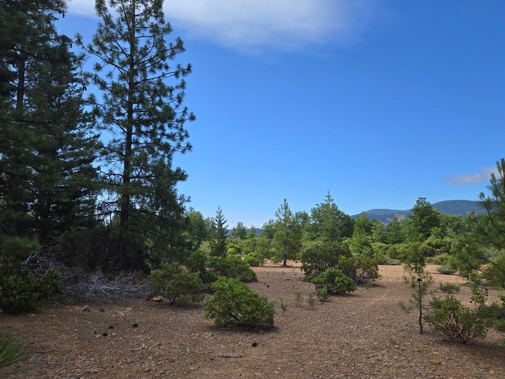 Picture 39