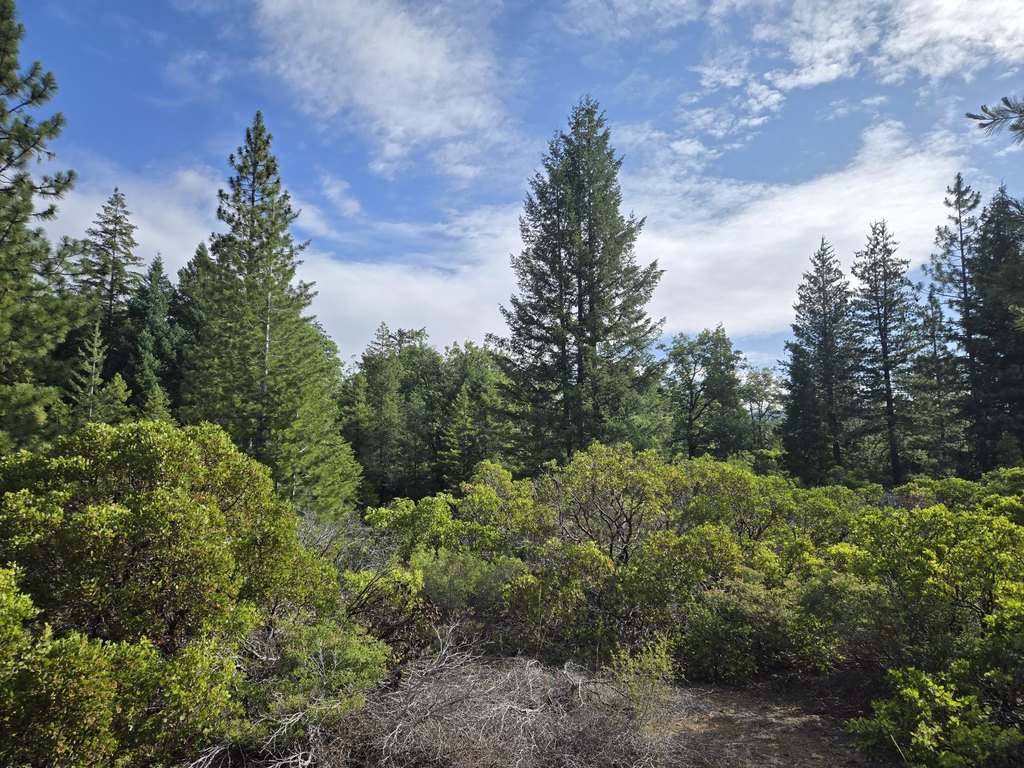 Picture 25