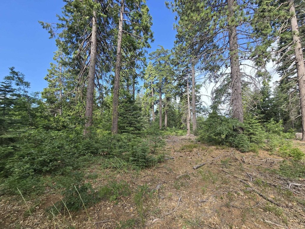 Picture 36