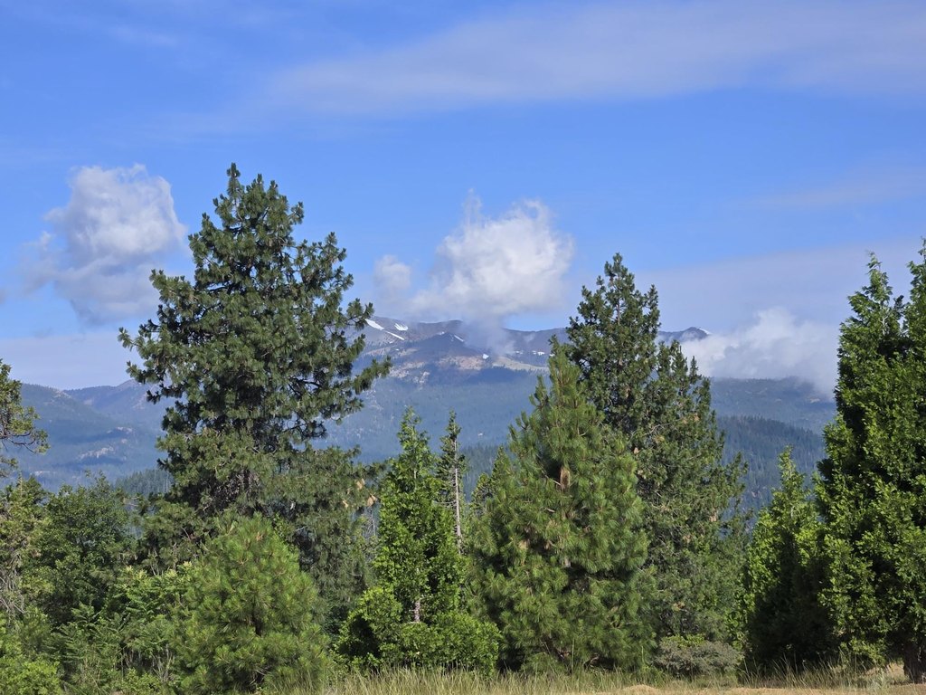Picture 30