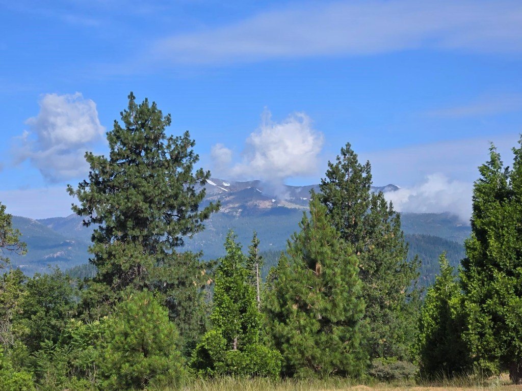 Picture 30
