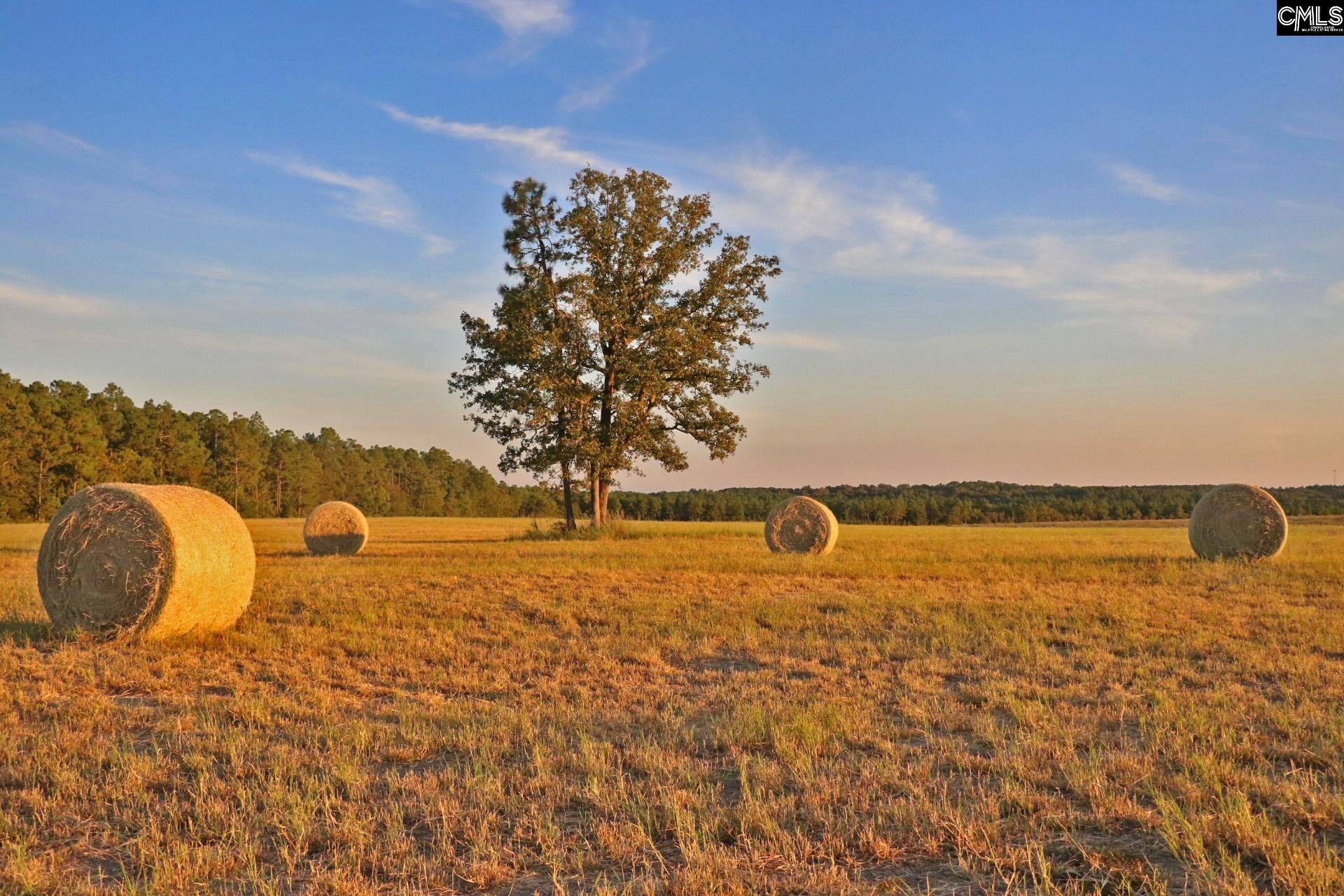 Expansive Acreage in Wagener, SC