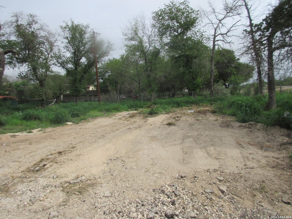 Picture 5
