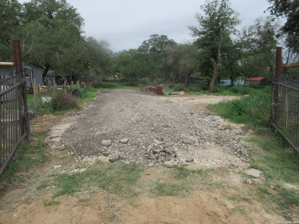 Picture 3