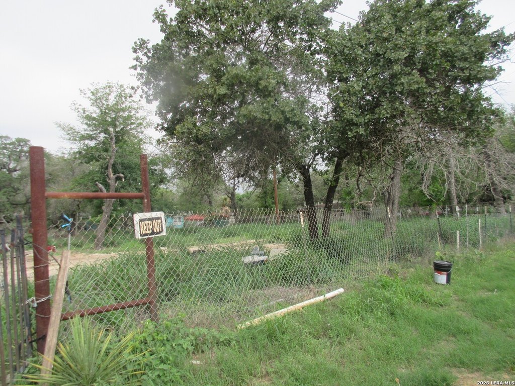 Picture 4
