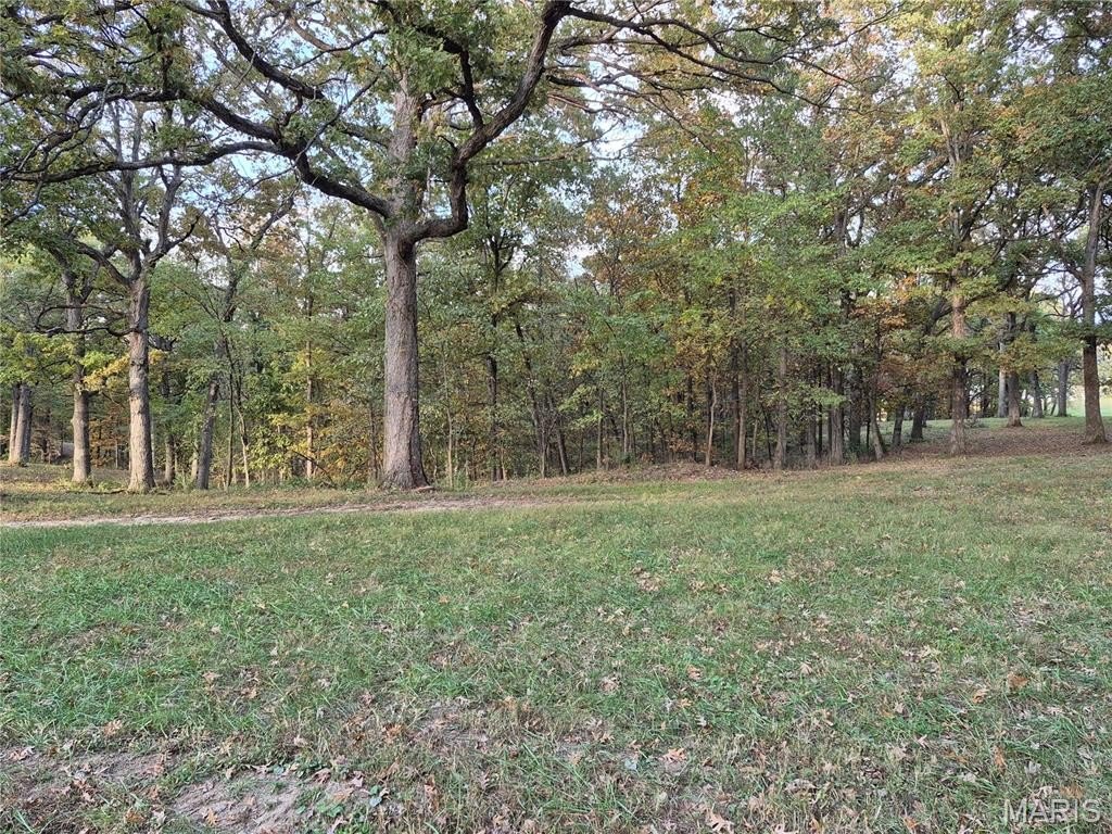Picture 23