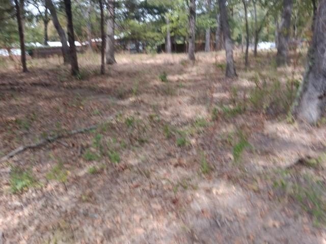 Picture 3