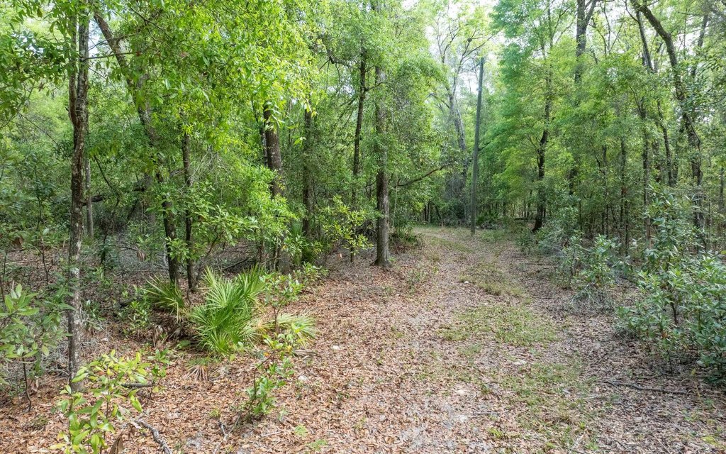 Picture 18