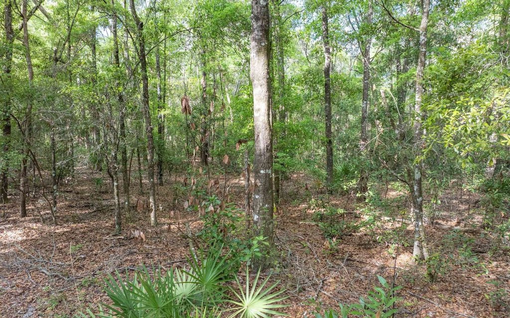 Picture 20