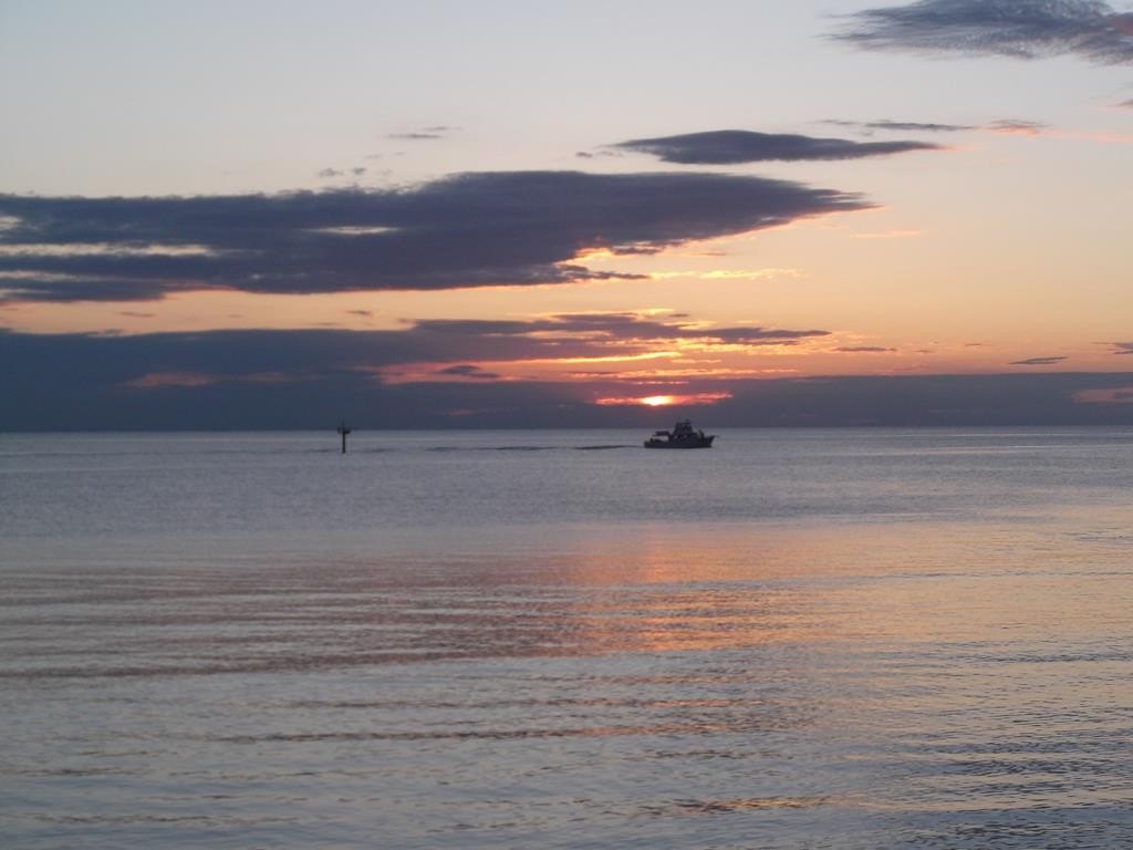 Picture 19