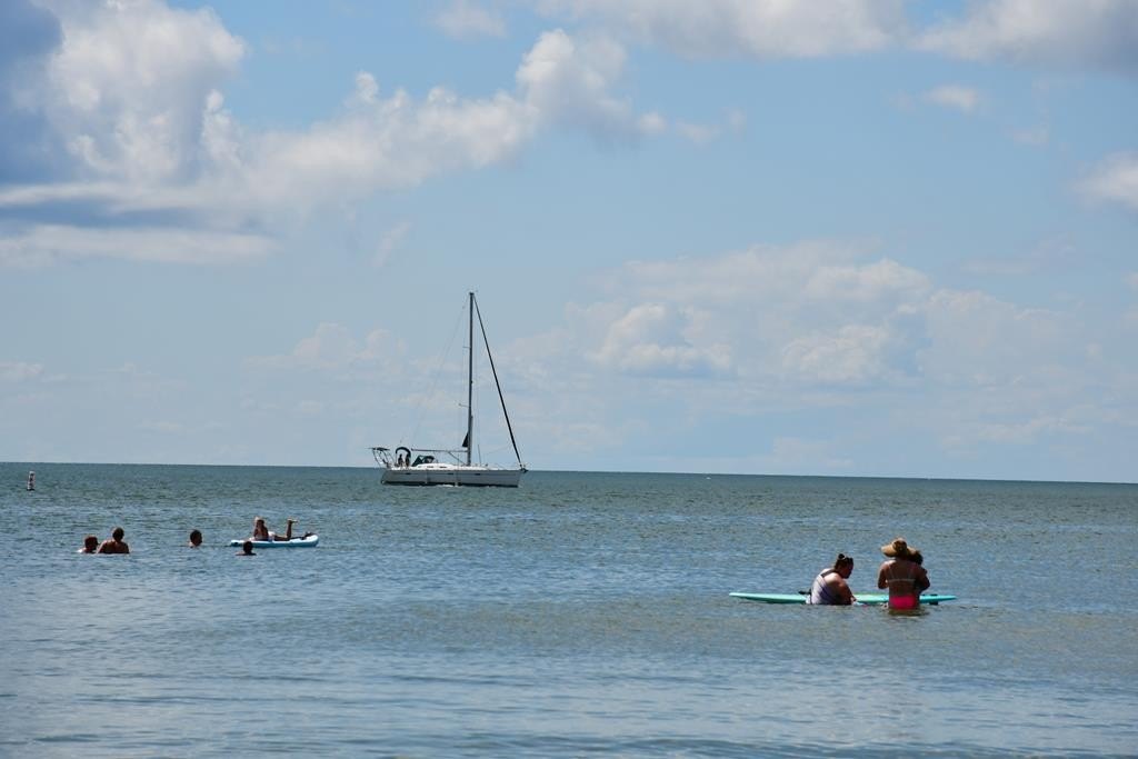 Picture 11