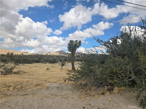 Land, Yucca Valley, CA