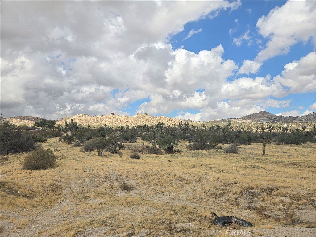 Picture 9