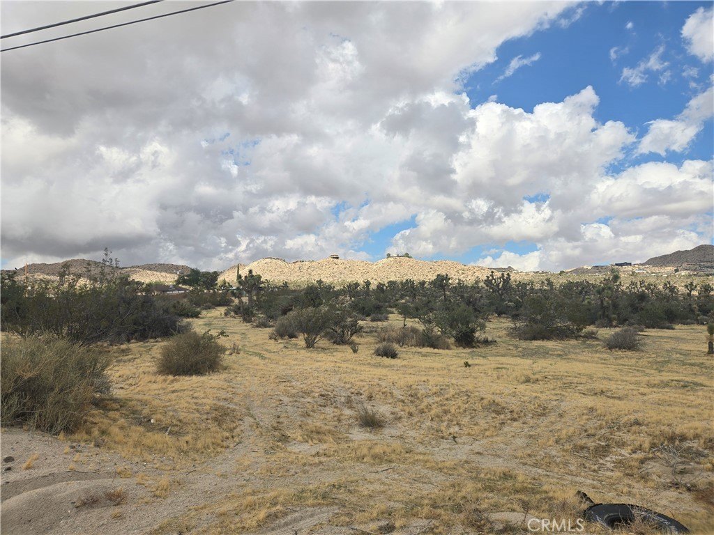 Picture 10