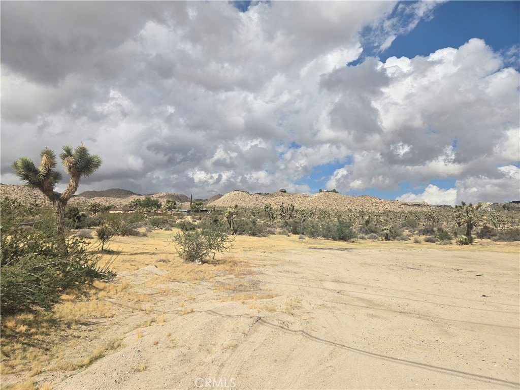 Picture 6
