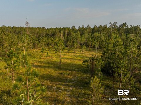Industrial Development Land Tract