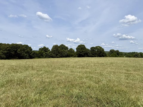 Land, Cabool, MO