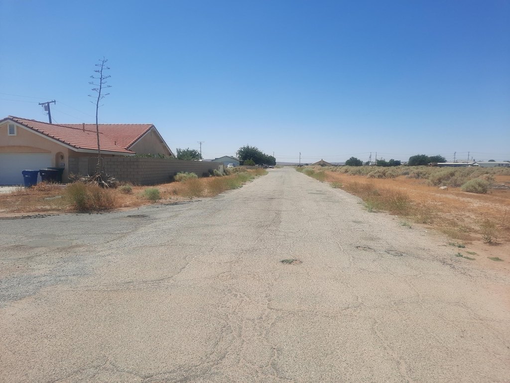 Picture 5
