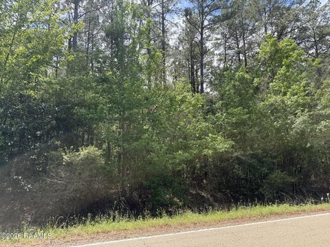 Land, Oakdale, LA